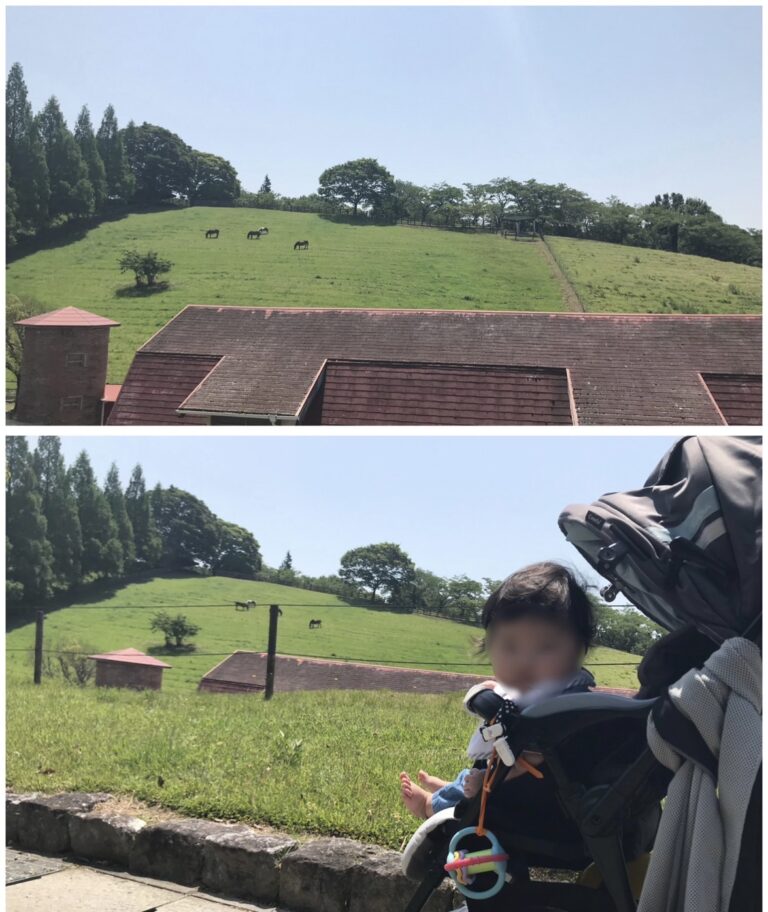 鞍ヶ池公園|無料で楽しめる動物園!0・2歳とおでかけ|授乳室やおむつ交換台についても紹介 | ゆうゆう旅にっき