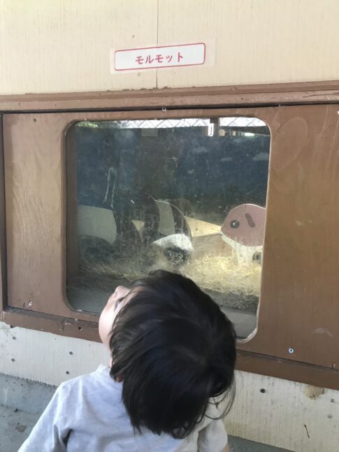 鞍ヶ池公園|無料で楽しめる動物園!0・2歳とおでかけ|授乳室やおむつ交換台についても紹介 | ゆうゆう旅にっき