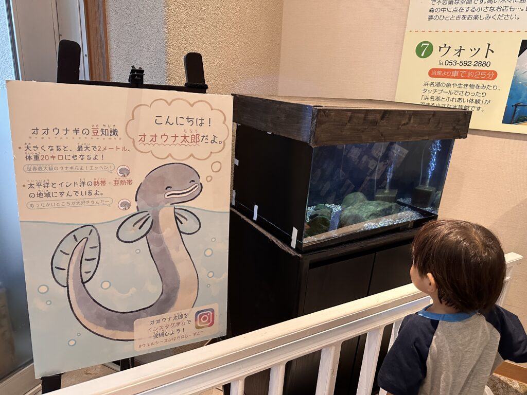 ウェルシーズン浜名湖