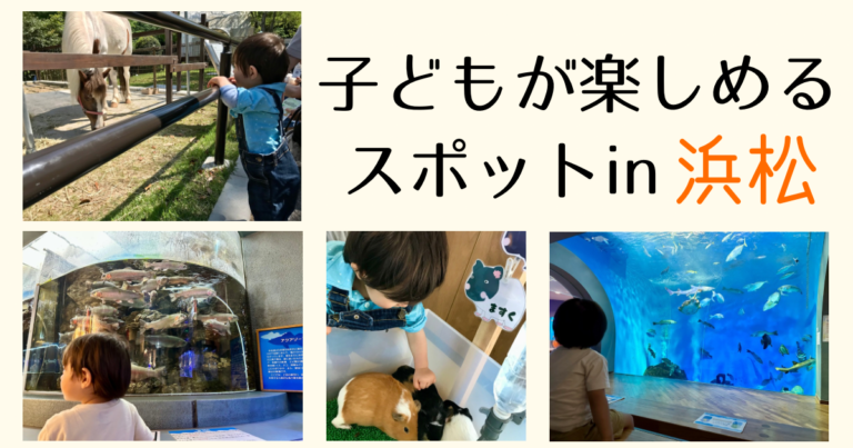 浜松市の子どもが楽しめるスポット・遊び場まとめ!授乳室やおむつ交換台ベビーカー貸出についても | ゆうゆう旅にっき