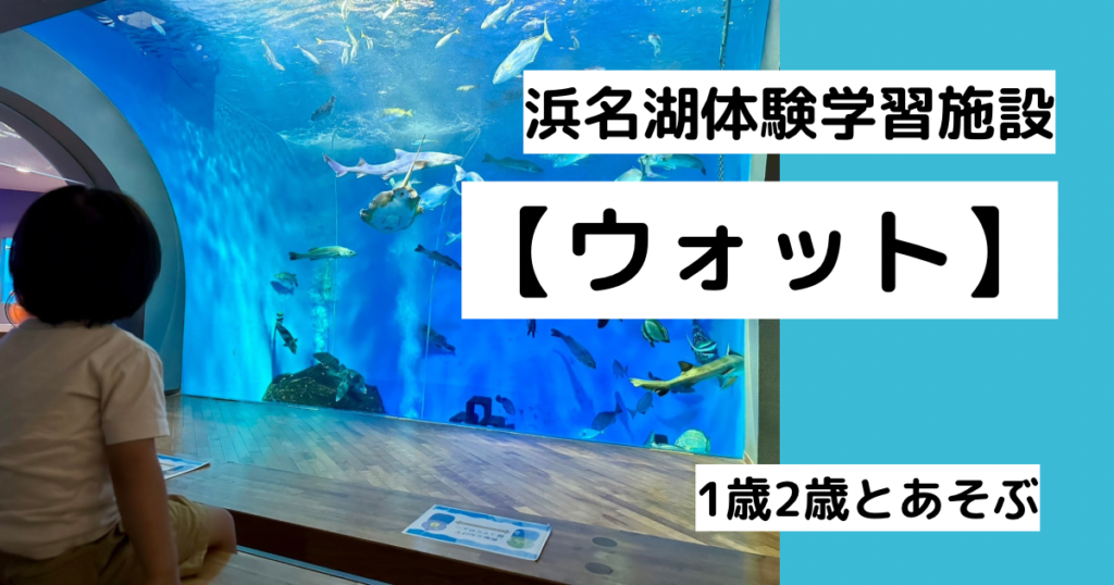 浜名湖の水族館【ウォット】1歳2歳の子どもと行ってきた!実際の滞在時間・おむつ交換台の有無など | ゆうゆう旅にっき