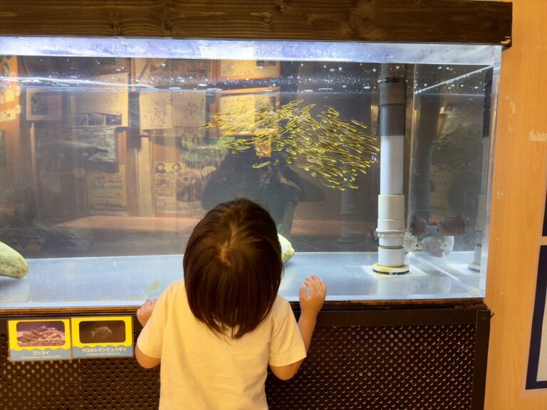 浜名湖の水族館【ウォット】1歳2歳の子どもと行ってきた!実際の滞在時間・おむつ交換台の有無など | ゆうゆう旅にっき