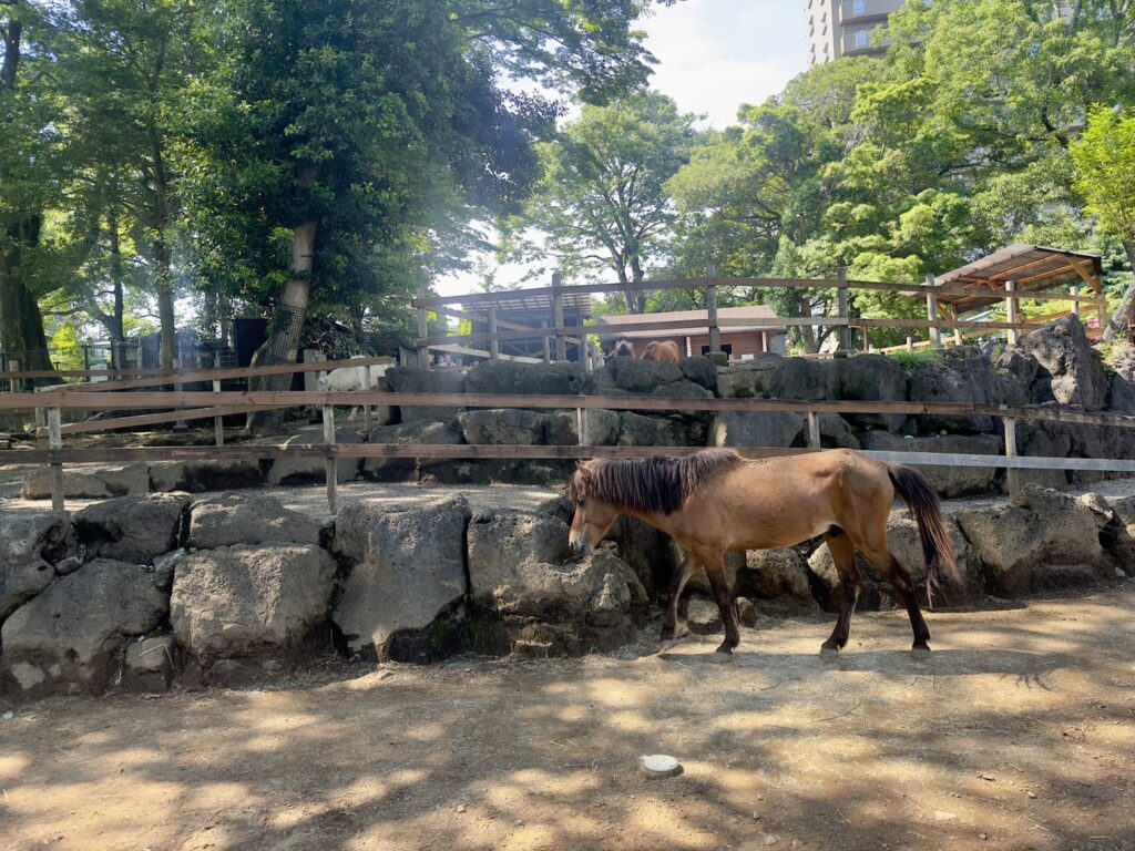 楽寿園