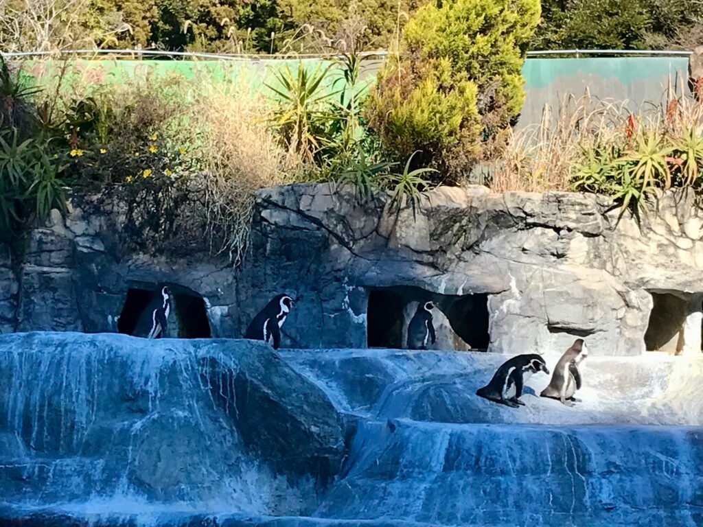 日本平動物園