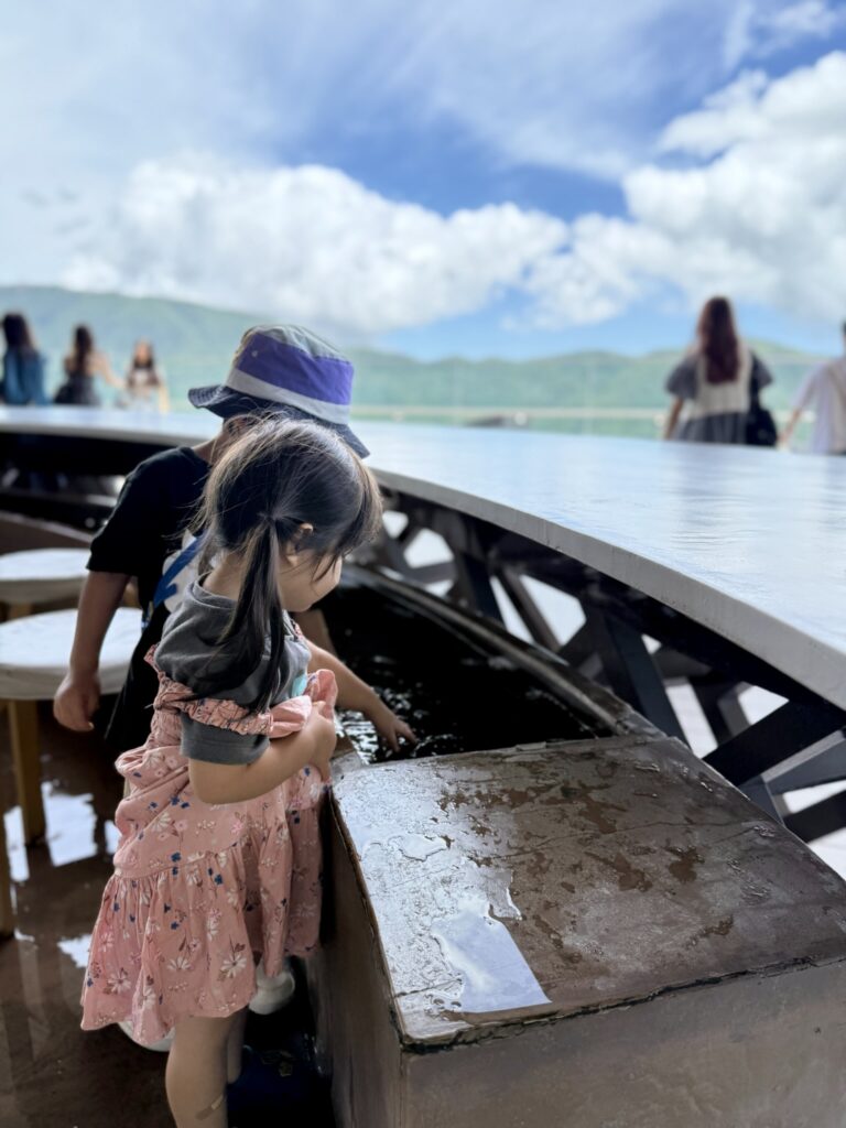 早雲山