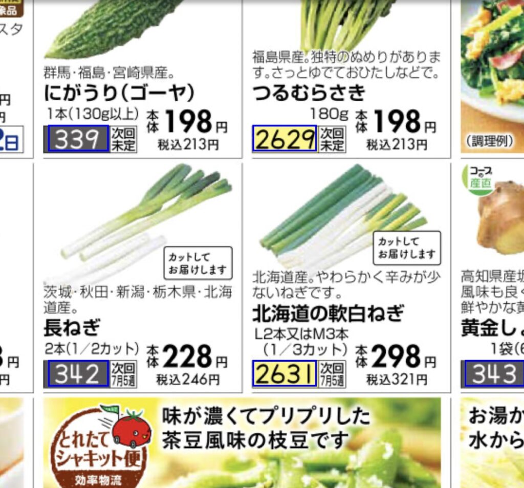 おうちコープ ネギ