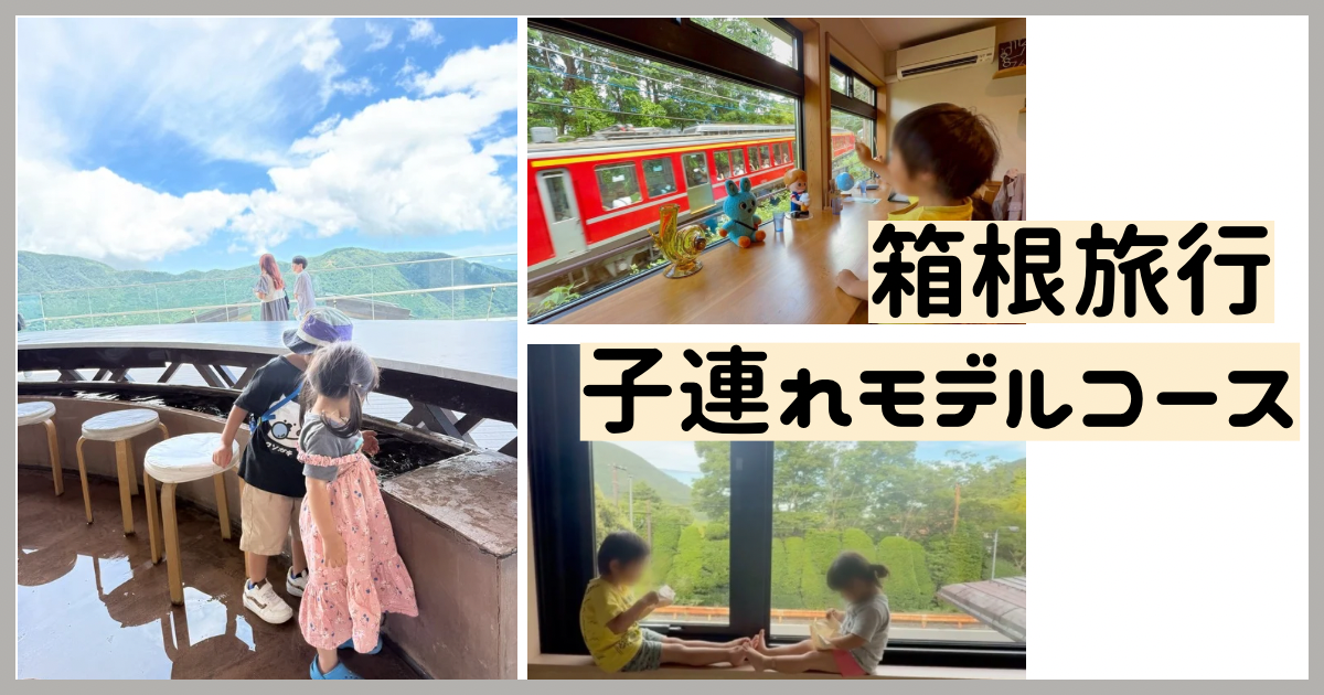【箱根のりものパスLite】子連れ観光|海賊船・ロープウェイも楽しめる【5つの乗り物でぐるりと一周してきたよ】体験記 | ゆうゆう旅にっき