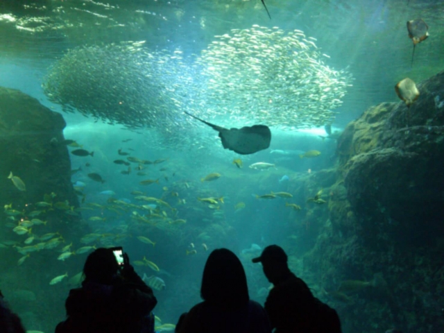 江の島水族館